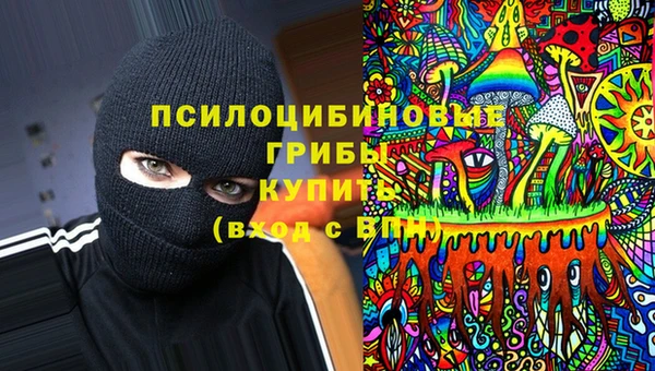 шишки Абдулино