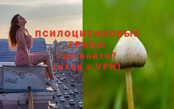 MDMA Premium VHQ Абаза